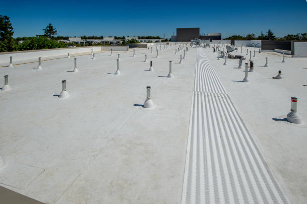 Best Roof Coating and Sealing  in Blanchester, OH